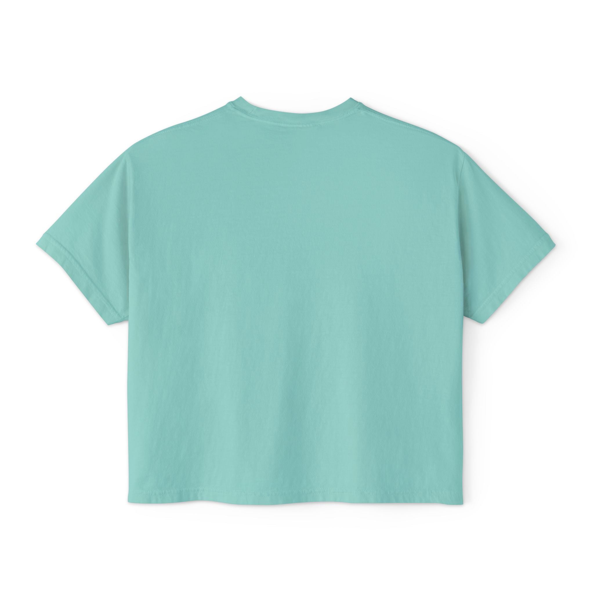 Freedom Is a Mindset horse illustration Tee | Boxy Crop Shirt