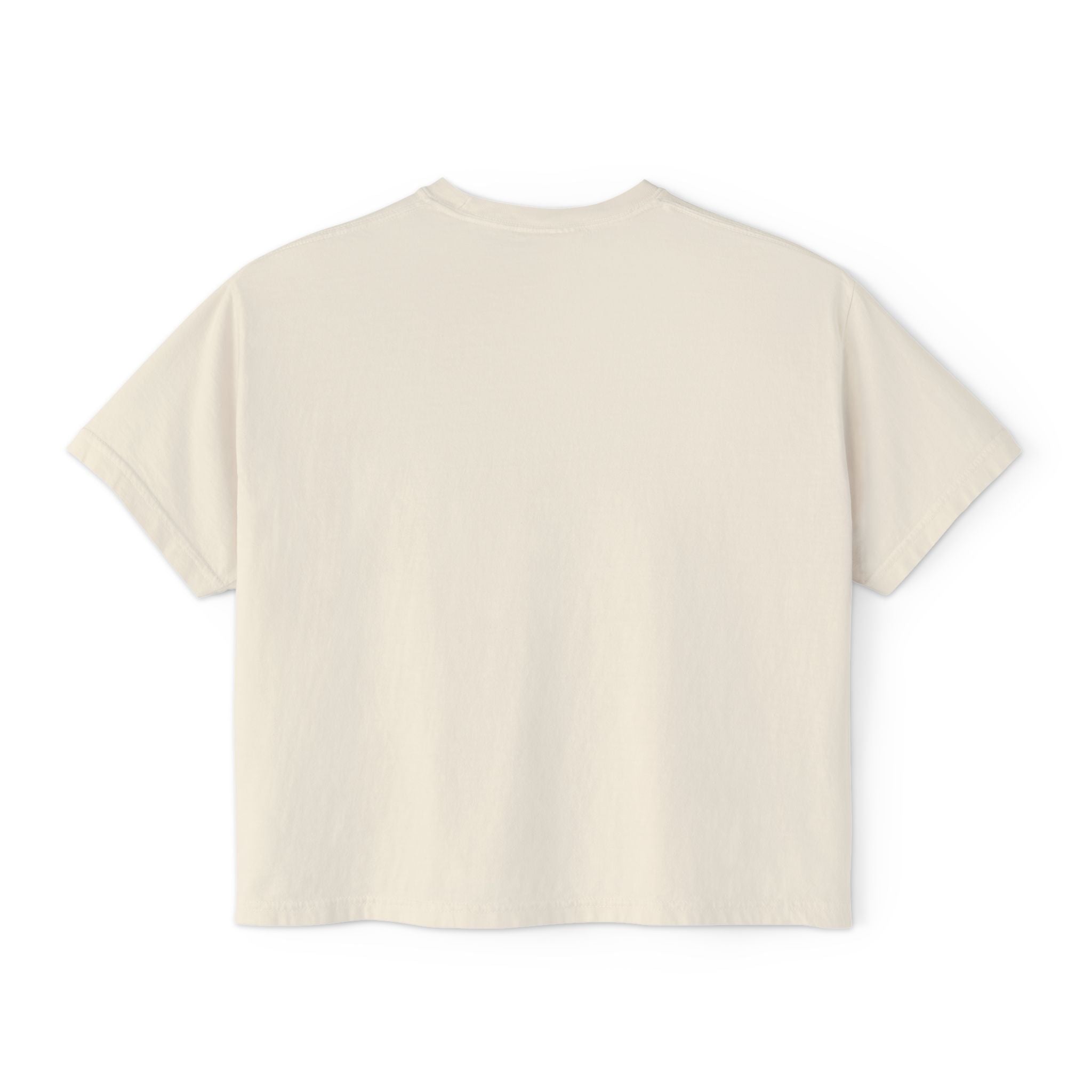 Freedom Is a Mindset horse illustration Tee | Boxy Crop Shirt