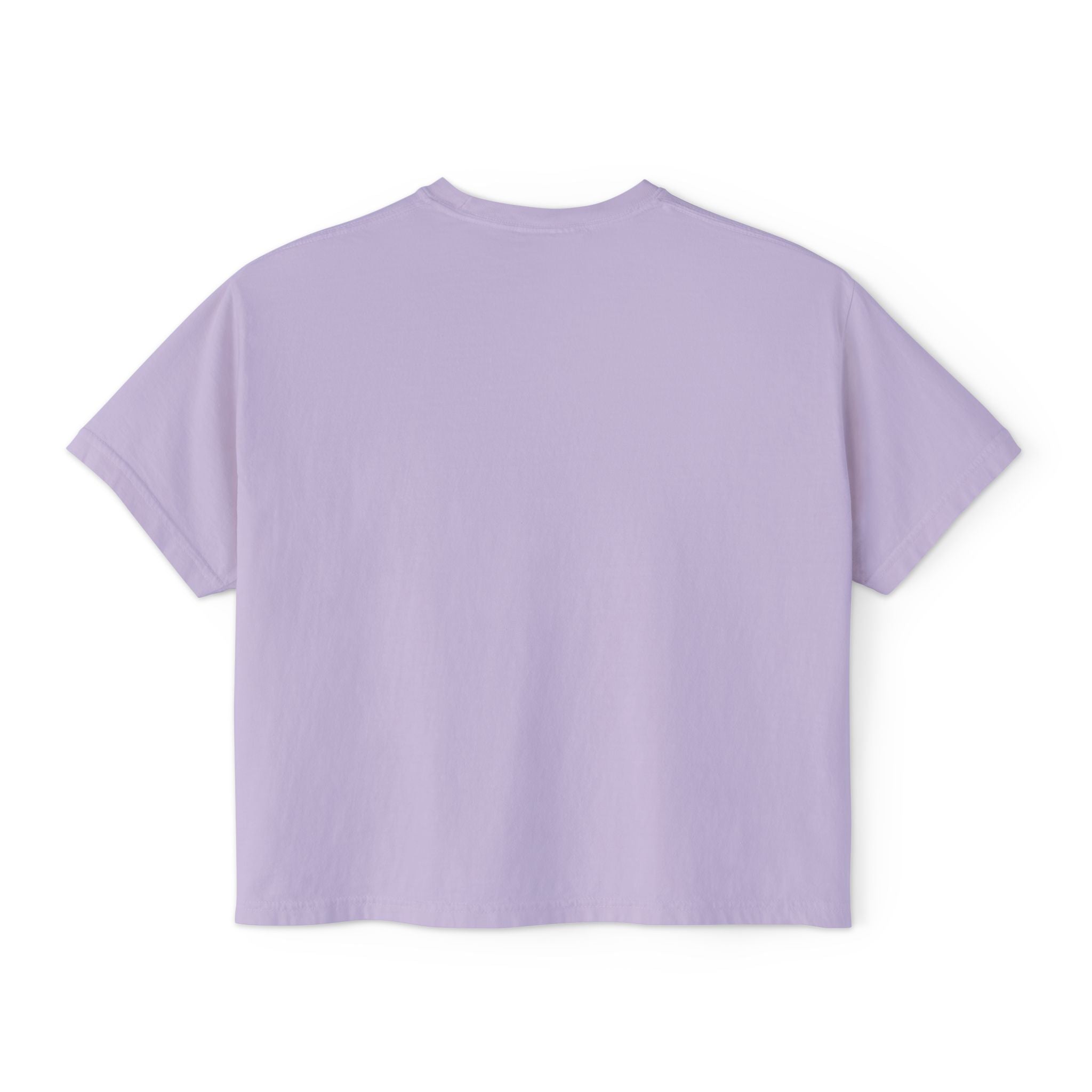 Freedom Is a Mindset horse illustration Tee | Boxy Crop Shirt