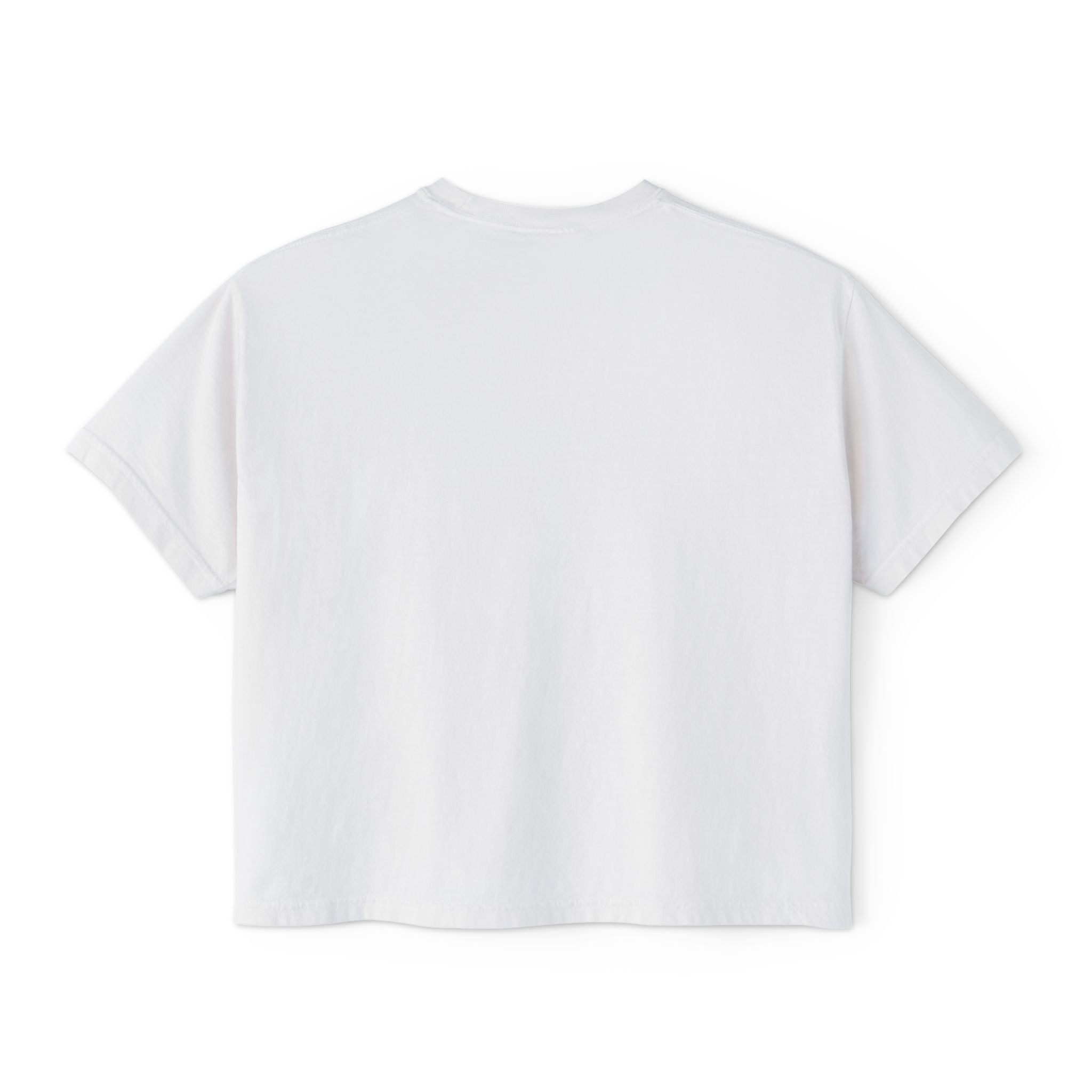 Freedom Is a Mindset horse illustration Tee | Boxy Crop Shirt
