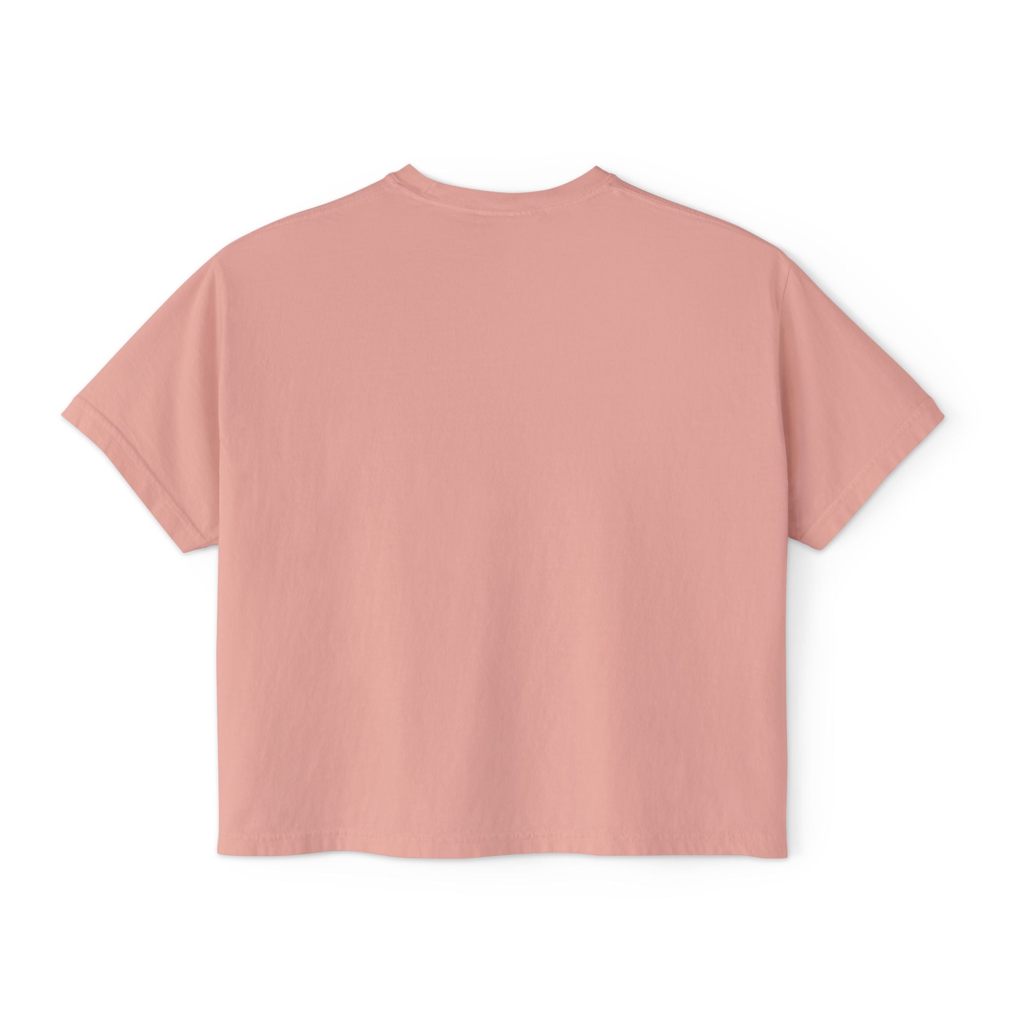Freedom Is a Mindset horse illustration Tee | Boxy Crop Shirt