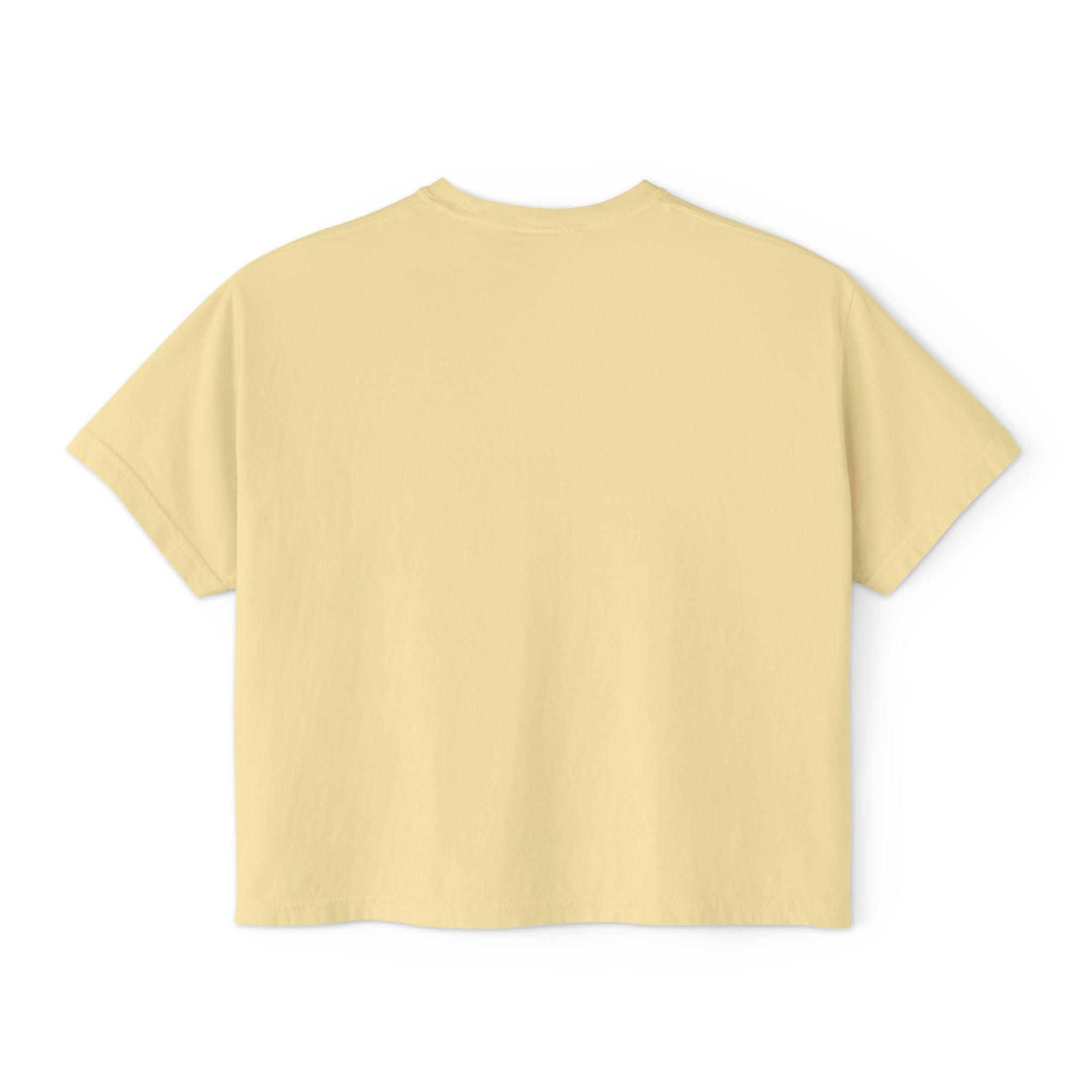 Freedom Is a Mindset horse illustration Tee | Boxy Crop Shirt